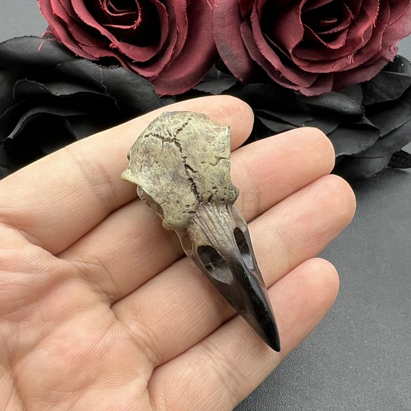 2 Stück 61*25mm 3D Krähenschädel Herren Totenkopf Halskette Anhänger Elster Gothic Halloween Geschenk Vogelschädel handgefertigt Schmuck Zubehör