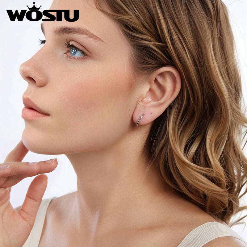 WOSTU Solid 925 Sterling Silver Vintage Snake Textured Huggie Earrings For Women Simple Weddding Twisted Hoop Earring Party Gift