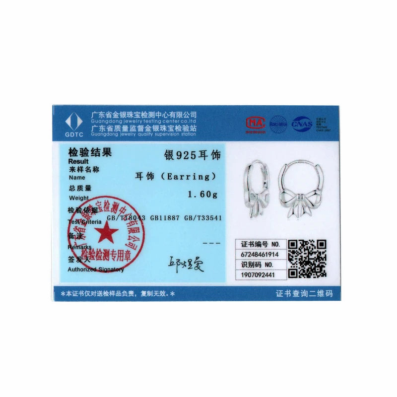 Boucles d'oreilles créoles en argent sterling 925 BISAER plaquées or blanc pour fête romantique de fille, mariage, bijoux fien, cadeau EFE1078