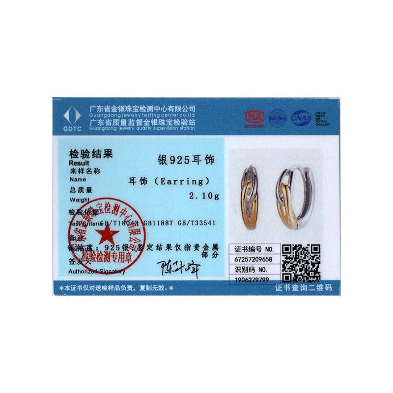 BISAER 925 Sterling Silver Double Ring Hoop Earrings Two-tones Huggie Earrings Plated 14K Gold For OL Women Party Fine Jewelry