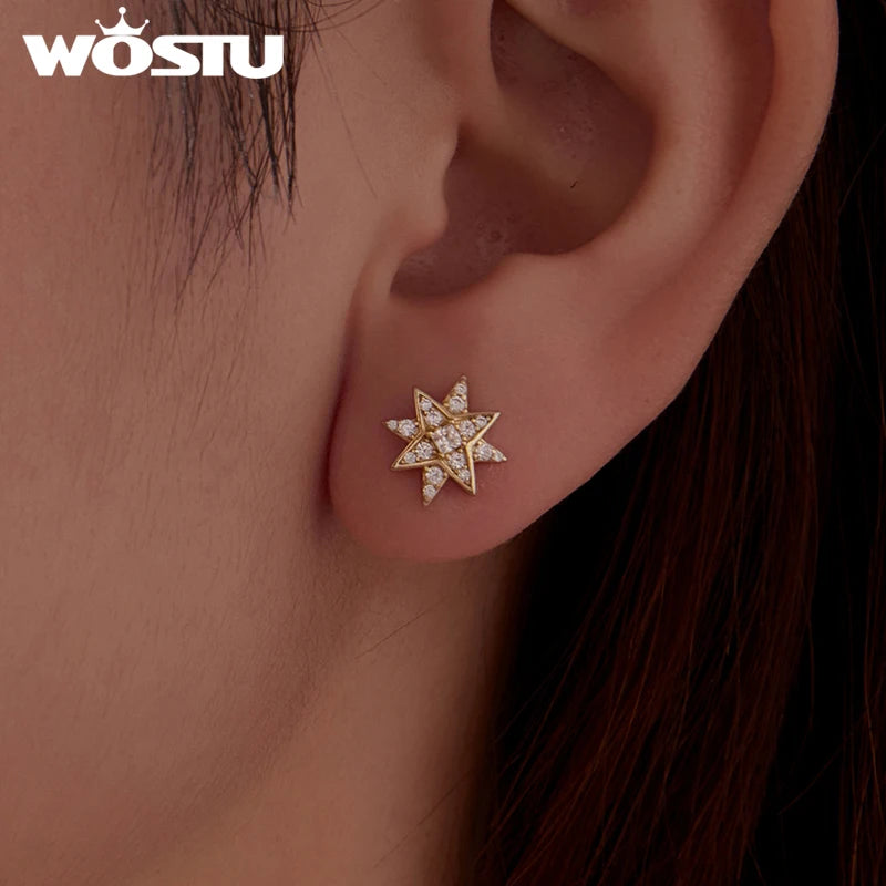 WOSTU 14K Gold Plated 925 Sterling Silver Star Stud Earrings For Women ,Sparkling CZ Earrings Hypoallergenic Birthday Gift