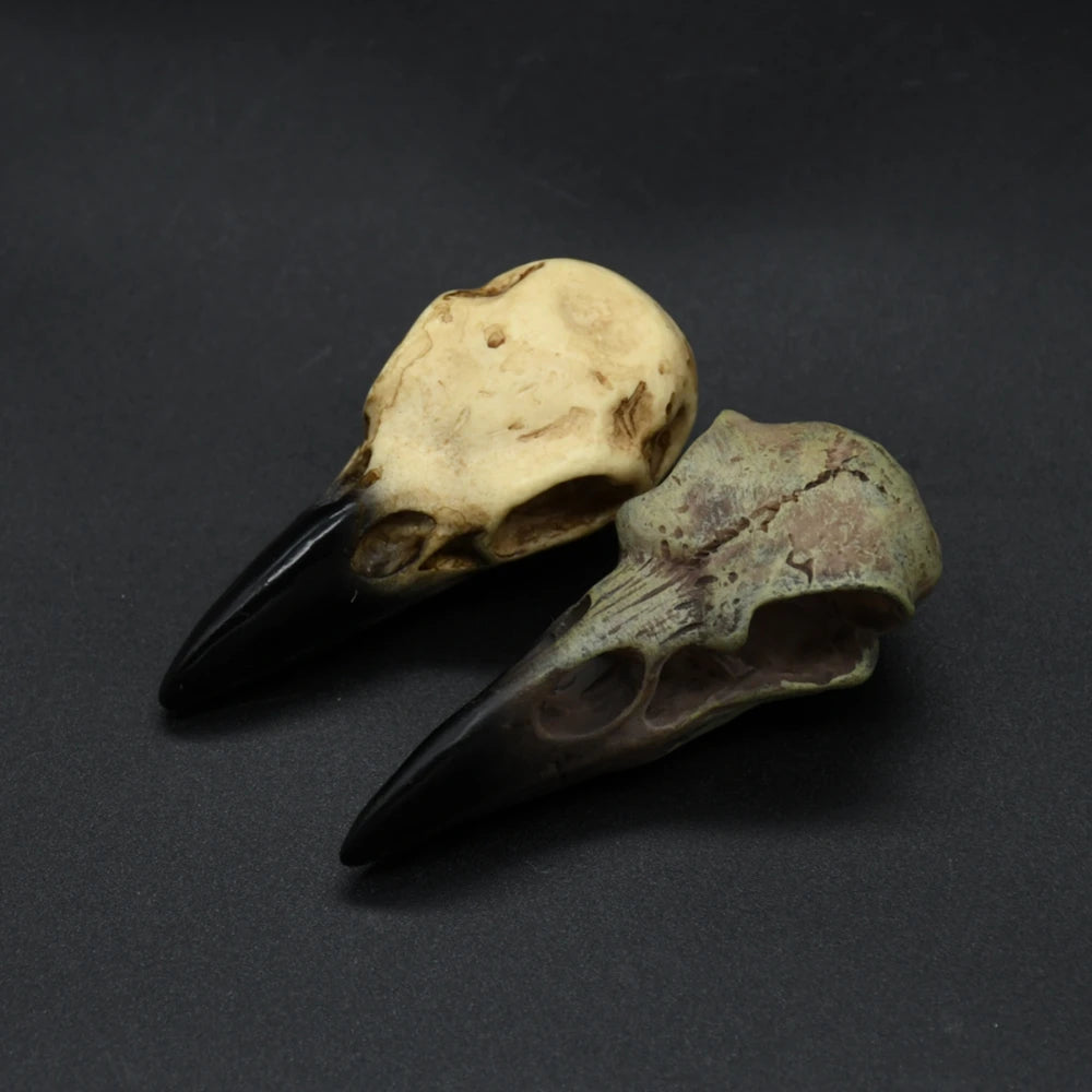 Punk Viking amulet Crow Skull Pendant Vintage Nordic Mens Necklace Biker Amulet Jewelry Gift Dropshipping