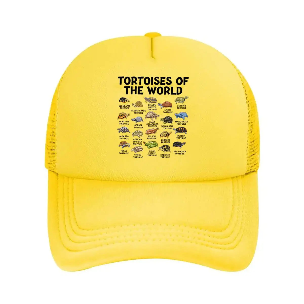 Casual Tortoises Of The World Graphic 2026 Mesh Baseball Cap