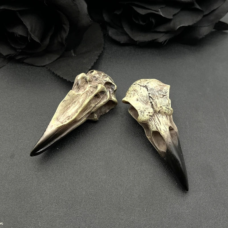 2 Stück 61*25mm 3D Krähenschädel Herren Totenkopf Halskette Anhänger Elster Gothic Halloween Geschenk Vogelschädel handgefertigt Schmuck Zubehör