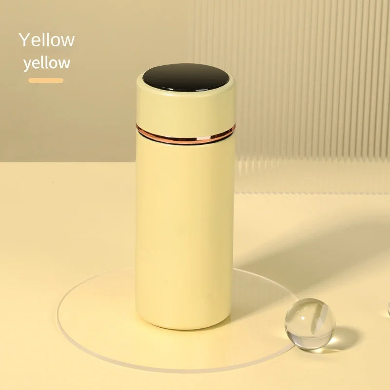 280ML Smart Thermos Water Bottle Intelligent Temperature Display Stainless Steel Vacuum Flasks Thermoses with Filter Tee Cup