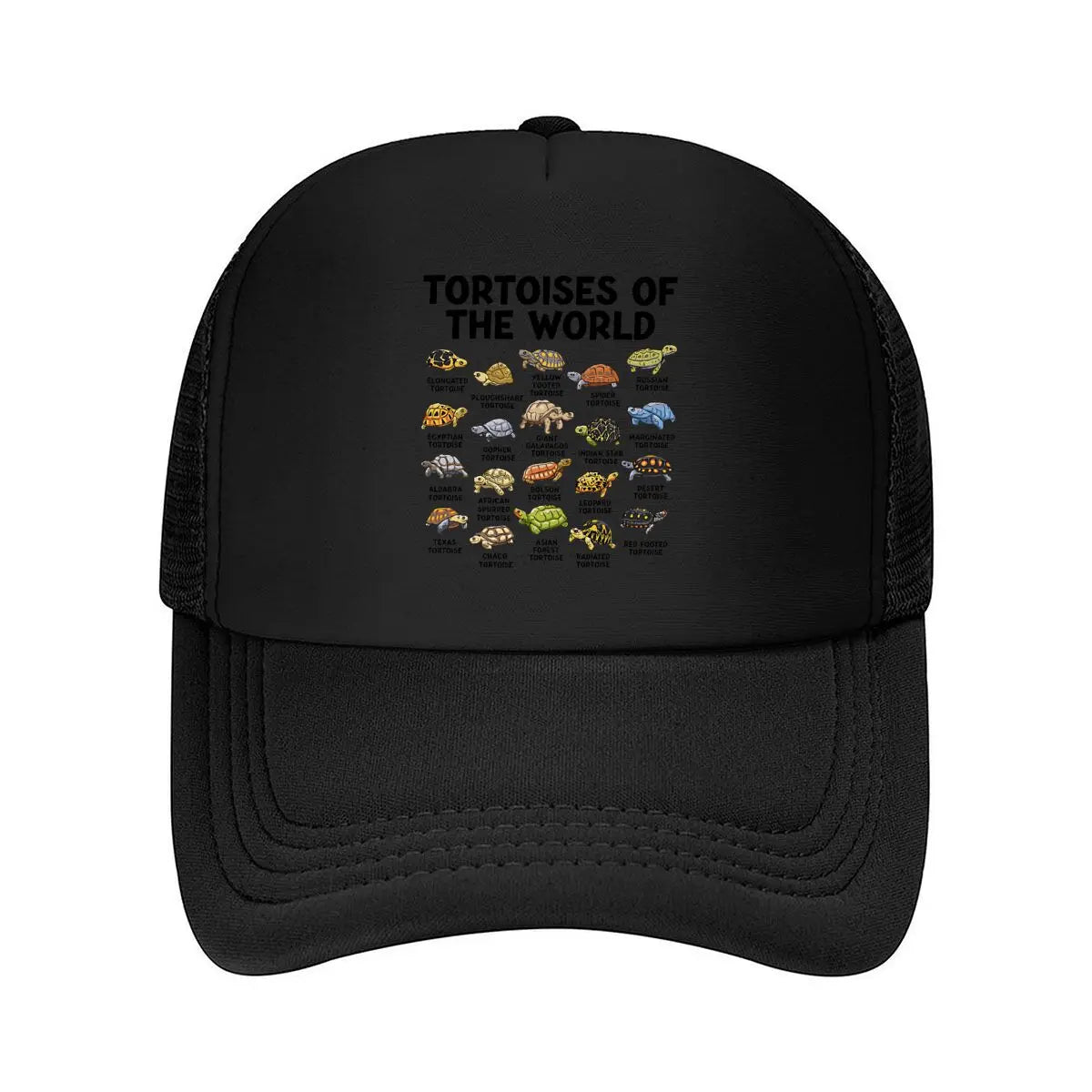 Casual Tortoises Of The World Graphic 2026 Mesh Baseball Cap