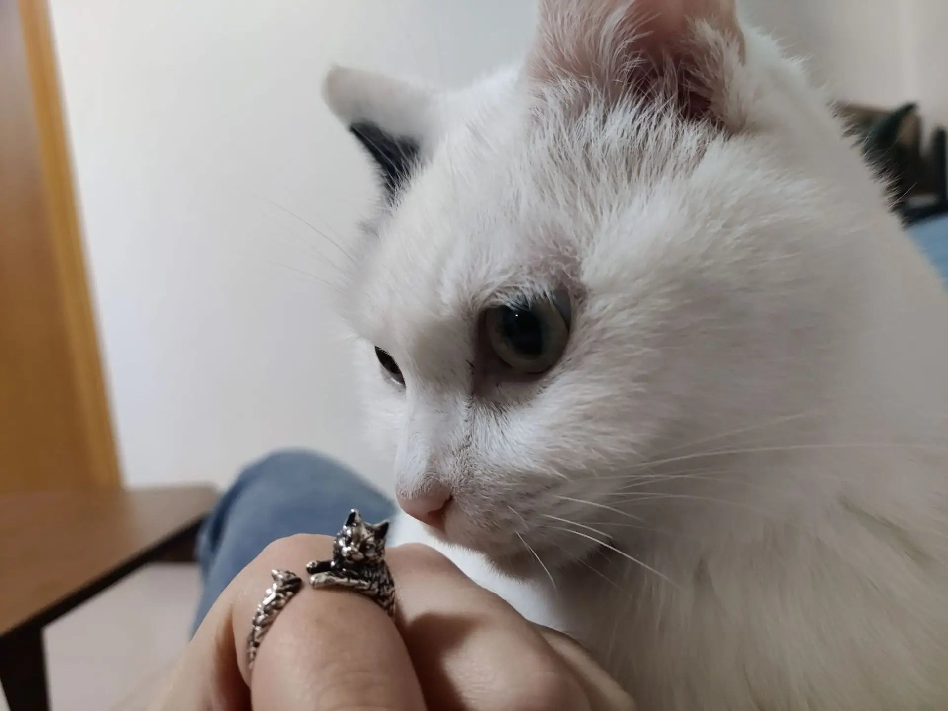 Retro Dark Cat Kitty Ring For Men Women Gothic Silver Color Adjustable Ring Pet Handmade Jewelry Accessories Unisex Lovers Gift - Madeinsea©