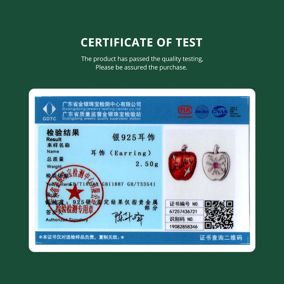 BAMOER 925 Sterling Silver Red Apple Asymmetrical Earrings, CZ Piercing Earrings Cute Fruit Jewelry for Girls Lucky Xmas Gift