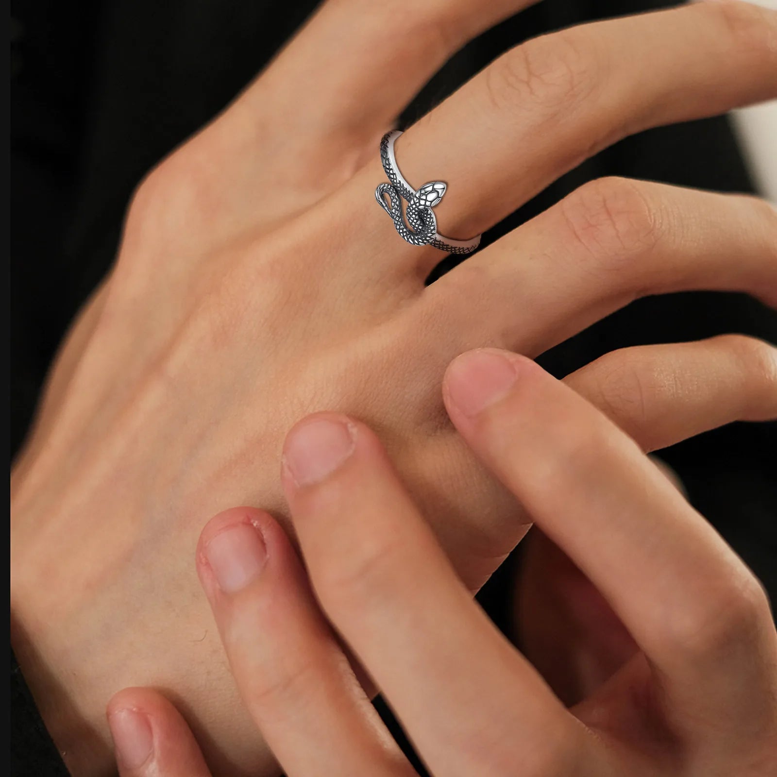 Eudora 925 Sterling Silver Snake Adjustable Ring Vintage Textures Cobra Punk Ring Personalized Jewelry Party Gift for Women Man