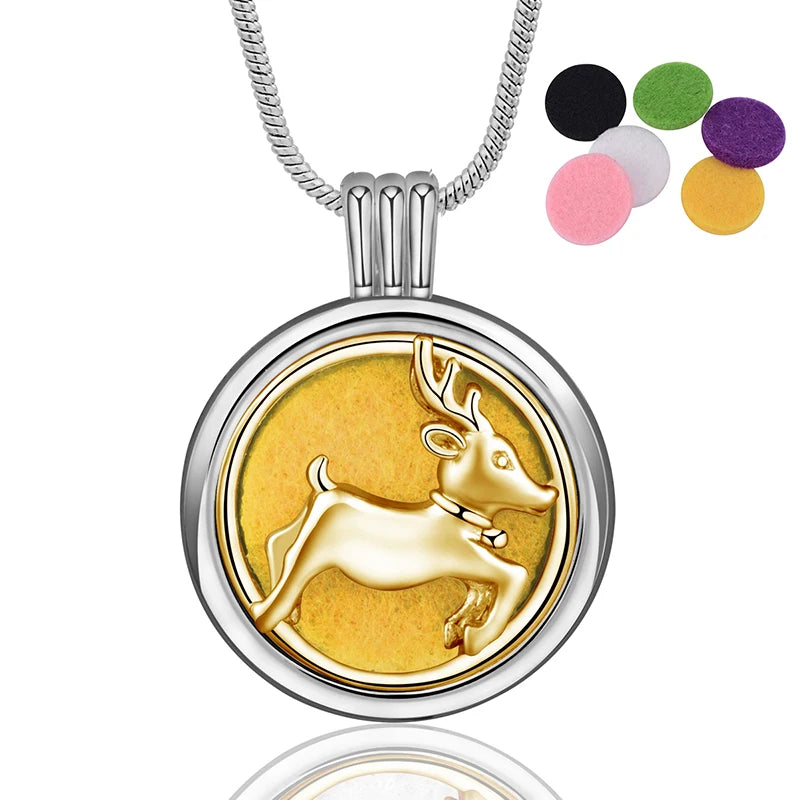 Eudora Copper Perfume Essential Oil Diffuser Necklace Aromatherapy Diffuser Locke Pendants Healing Jewelry Gift