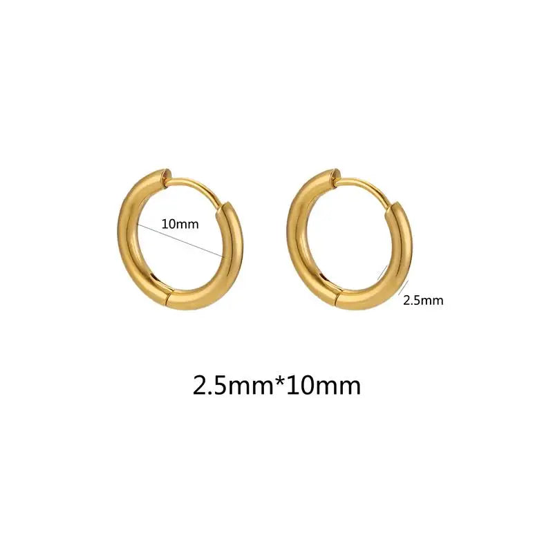10pcs Stainless Steel Small Hoops Earring Piercing Ear Cartilage 8-20mm Women Men Stainles Steel Round Circle Pendientes