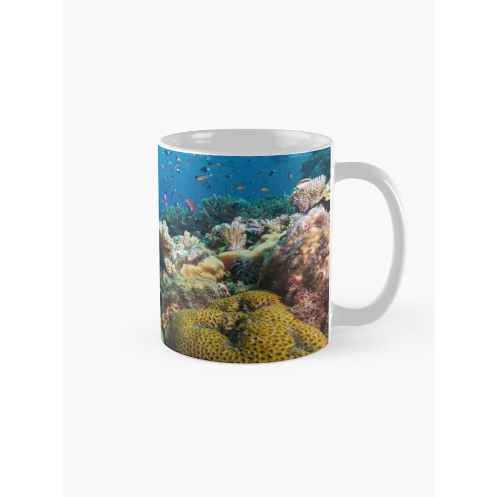 Coral Reef Mugs